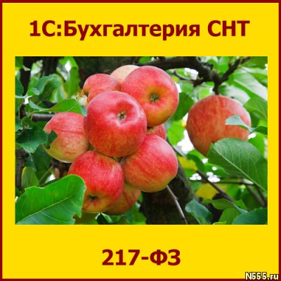 Простая программа для СНТ